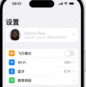 文山appleID维修服务iPhone设置中Apple ID显示为灰色无法使用