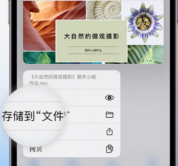 文山apple维修中心分享iPhone文件应用中存储和找到下载文件