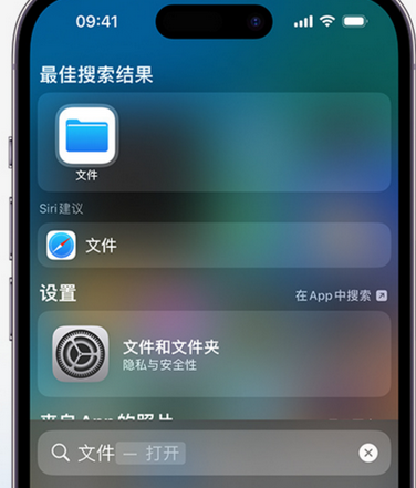 文山apple维修中心分享iPhone文件应用中存储和找到下载文件 