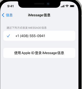 文山apple维修iPhone上无法正常发送iMessage信息