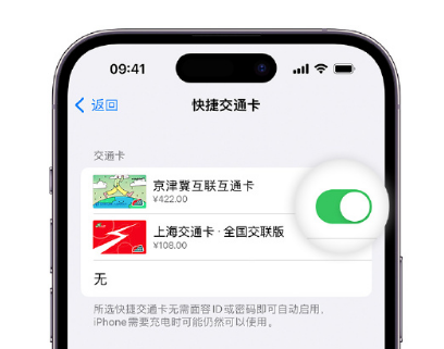 文山apple维修点分享iPhone上更换Apple Pay快捷交通卡手绘卡面 