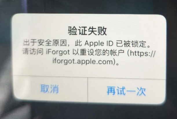 文山iPhone维修分享iPhone上正常登录或使用AppleID怎么办 