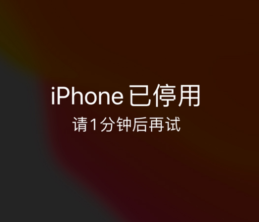 文山苹果手机维修分享:iPhone 显示“不可用”或“已停用”怎么办？还能保留数据吗？ 