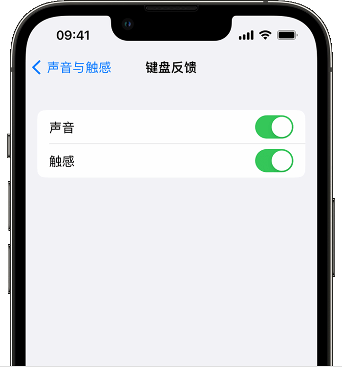 文山苹果14维修分享iPhone 14 系列机型如何开启键盘声音或触感反馈 