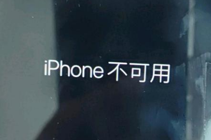 文山苹果服务网点分享锁屏界面显示“iPhone 不可用”如何解决 