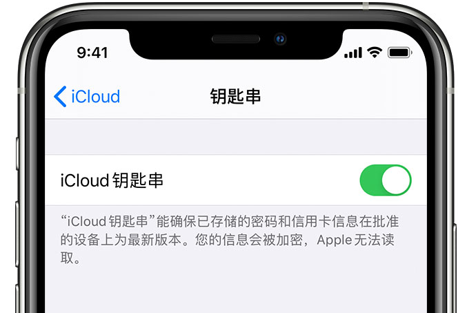 文山苹果手机维修分享在 iPhone 上开启 iCloud 钥匙串之后会储存哪些信息 