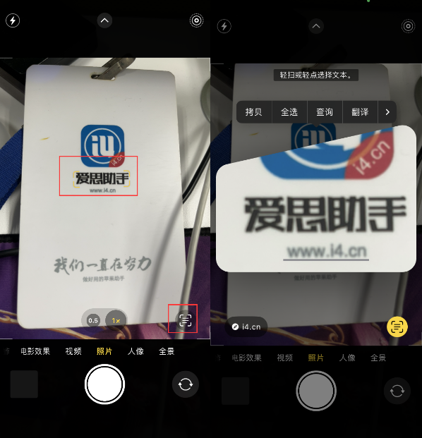 文山苹果手机维修分享升级iOS 16后如何通过相机翻译文本 
