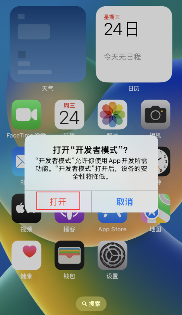 文山苹果手机维修分享如何打开开发者模式 