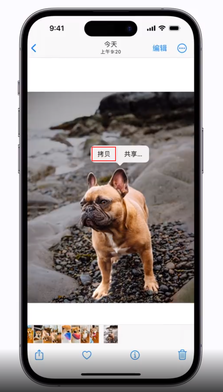 文山苹果手机维修分享 iOS 16 自带一键抠图功能 