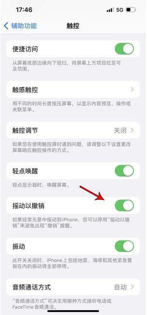 文山苹果手机维修分享iPhone手机如何设置摇一摇删除文字 