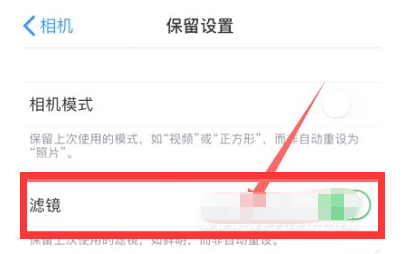 文山苹果13维修分享iPhone13拍照有绿点是怎么回事 