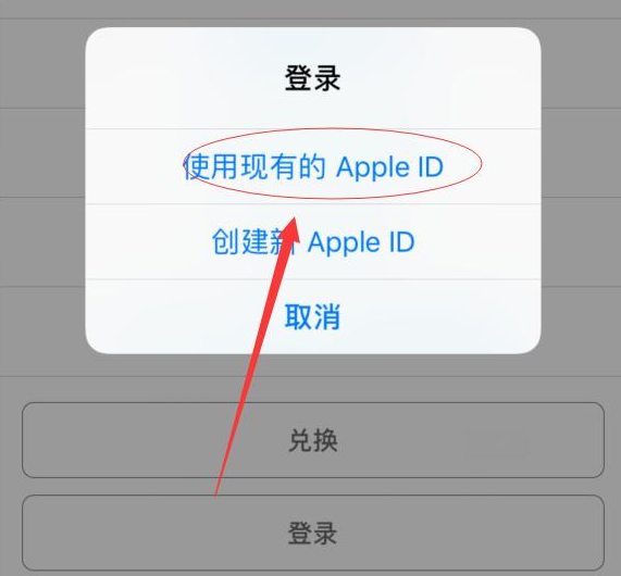 文山苹果手机维修分享两台iPhone设备可以同时登录一个Apple ID吗 