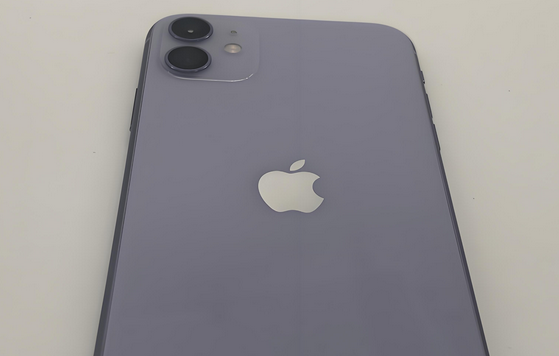 文山苹果11系统维修分享iPhone11手机系统崩溃无法开机如何解决 