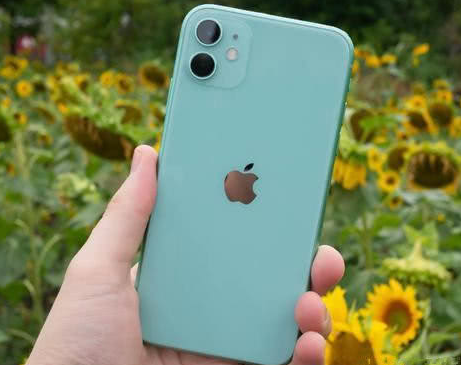 文山苹果维修点分享iPhone 11锁屏密码认知与使用科普 